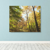 Zonovergoten herfstbos II Herfstlandschapsfotograf Canvas Afdruk (Insitu (Houten vloer))