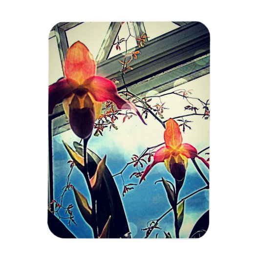 Zonovergoten Orchideeën Flexi Foto Magneet (Verticaal)