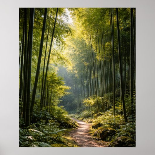 Zonovergoten pad door bamboebos poster (Voorkant)