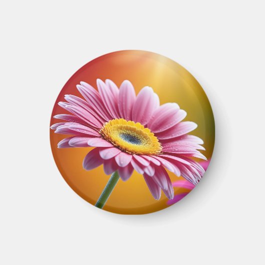 Zonovergoten roze daisy floral magneet (Voorkant)