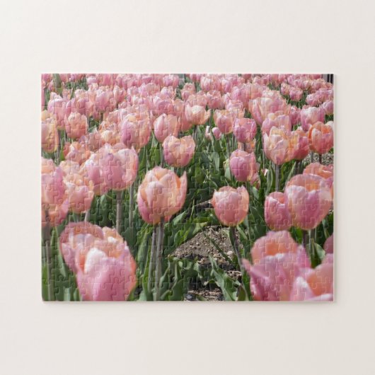 Zonovergoten Roze Tulpen Legpuzzel (Horizontaal)