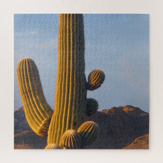 Zonovergoten Saguaro Cactus Legpuzzel (Verticaal)