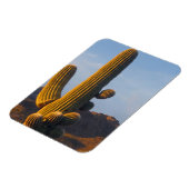 Zonovergoten Saguaro Cactus Magneet (Linkerzijde)