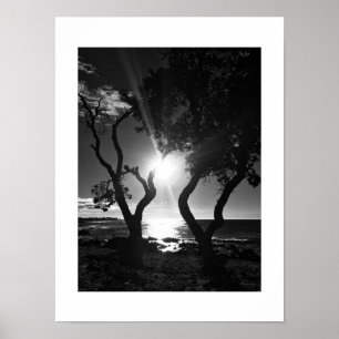 Zonovergoten Shore Hawaii Zwart-wit Fotografie Poster