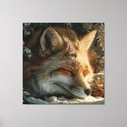 Zonovergoten Sneeuw Vos Rust Canvas Afdruk (Voorkant)