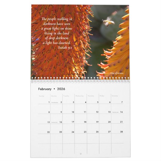 Zonovergoten Succulenten en Schriften 12-maanden Kalender (Feb 2026)