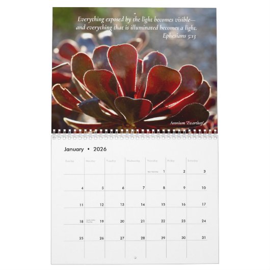 Zonovergoten Succulenten en Schriften 12-maanden Kalender (Jan 2026)