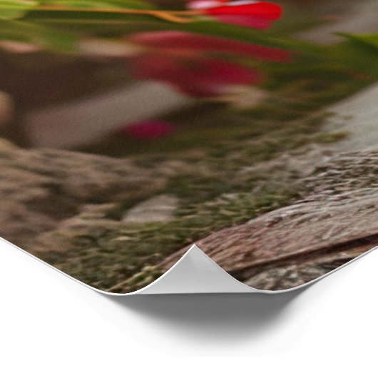 Zonovergoten tuinwandeling: Cavalier King Charles Poster (Hoek)