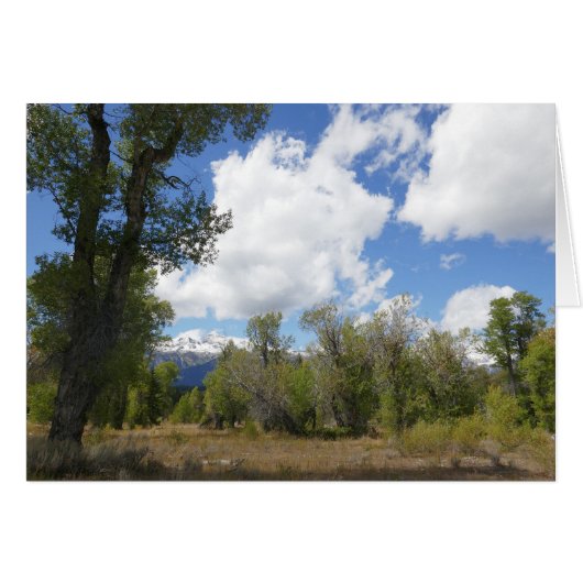 Zonovergoten uitzicht op Grand Teton Mountain (Voorkant Horizontaal)