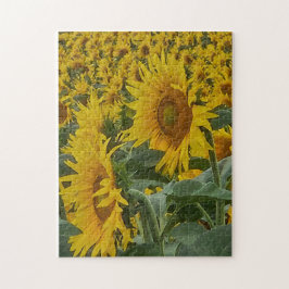 Zonovergoten zonnebloemen puzzel, 28 cm x 36 cm, 2 legpuzzel