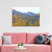 Zonoverlichte Saguaros in Winter Gewikkeld Canvas Afdruk (Insitu (Woonkamer))