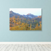 Zonoverlichte Saguaros in Winter Gewikkeld Canvas Afdruk (Insitu (Houten vloer))