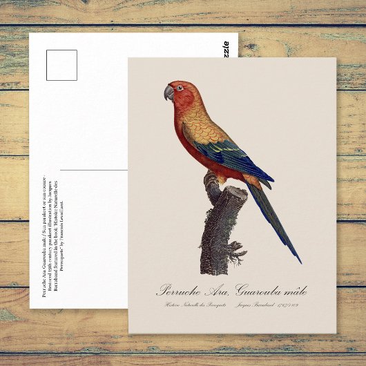 Zonparkiet mannetje, Aratinga solstitialis Briefkaart