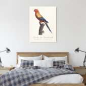 Zonparkiet mannetje, Aratinga solstitialis Canvas Afdruk (Insitu (Slaapkamer))