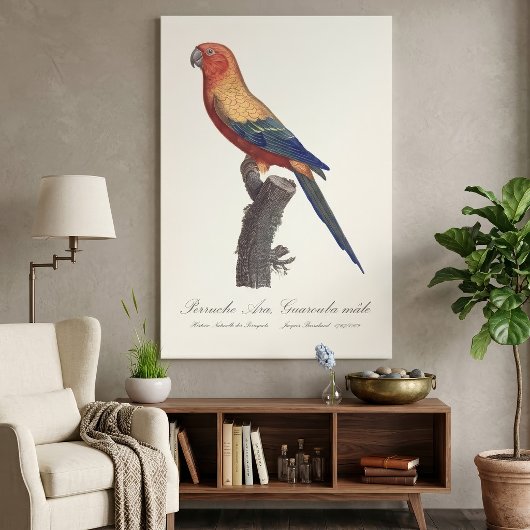 Zonparkiet mannetje, Aratinga solstitialis Canvas Afdruk