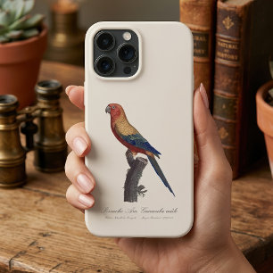 Zonparkiet mannetje, Aratinga solstitialis Case-Mate iPhone Case