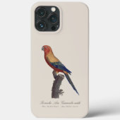 Zonparkiet mannetje, Aratinga solstitialis Case-Mate iPhone Case (Achterkant)