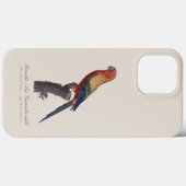 Zonparkiet mannetje, Aratinga solstitialis Case-Mate iPhone Case (Achterkant (horizontaal))