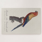 Zonparkiet mannetje, Aratinga solstitialis Legpuzzel (Horizontaal)