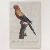 Zonparkiet mannetje, Aratinga solstitialis Legpuzzel (Verticaal)