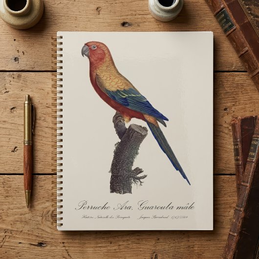 Zonparkiet mannetje, Aratinga solstitialis Planner