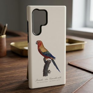 Zonparkiet mannetje, Aratinga solstitialis Samsung Galaxy Hoesje