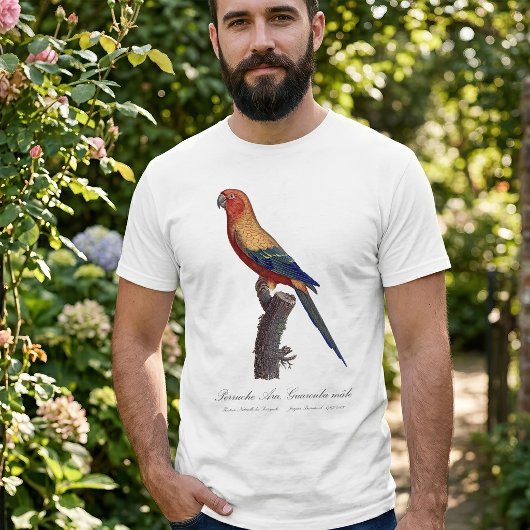 Zonparkiet mannetje, Aratinga solstitialis T-shirt