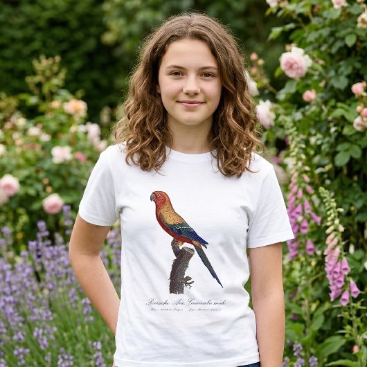 Zonparkiet mannetje, Aratinga solstitialis T-shirt
