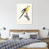 Zonparkiet of Aratinga solstitialis Canvas Afdruk (Insitu (Slaapkamer))