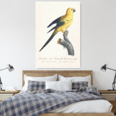 Zonparkiet of Aratinga solstitialis Canvas Afdruk (Insitu (Slaapkamer))