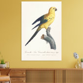 Zonparkiet of Aratinga solstitialis Canvas Afdruk (Insitu (Woonkamer))