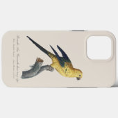 Zonparkiet of Solitaire parkiet Aratinga solstitia Case-Mate iPhone Case (Achterkant (horizontaal))