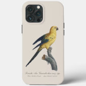 Zonparkiet of Solitaire parkiet Aratinga solstitia Case-Mate iPhone Case (Achterkant)