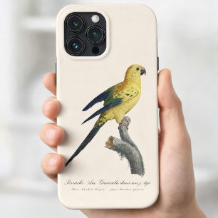 Zonparkiet of Solitaire parkiet Aratinga solstitia Case-Mate iPhone Case