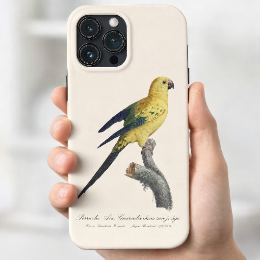 Zonparkiet of Solitaire parkiet Aratinga solstitia Case-Mate iPhone Case