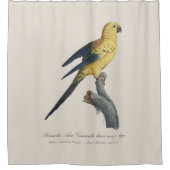 Zonparkiet of Solitaire parkiet Aratinga solstitia Douchegordijn (Voorkant)