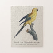 Zonparkiet of Solitaire parkiet Aratinga solstitia Legpuzzel (Verticaal)