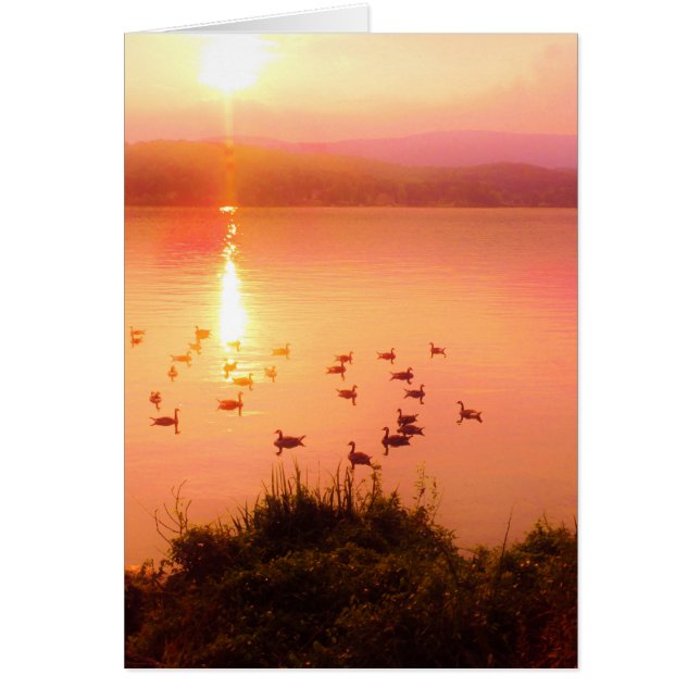 Zonset van roze en perzikmeer (Voorkant)