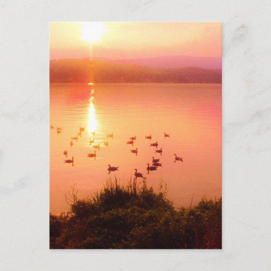 Zonset van roze en perzikmeer briefkaart (Voorkant)