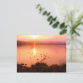 Zonset van roze en perzikmeer briefkaart (Staand voorkant)