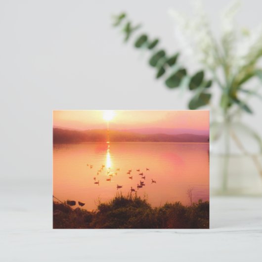 Zonset van roze en perzikmeer briefkaart (Staand voorkant)