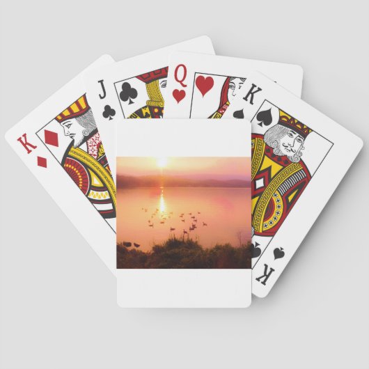 Zonset van roze en perzikmeer pokerkaarten (Achterkant)