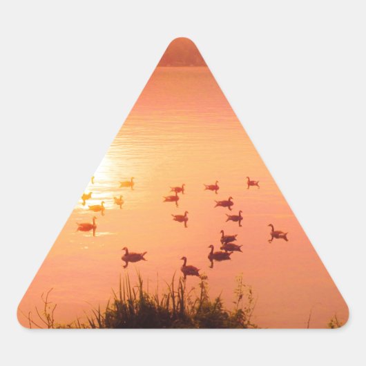 Zonset van roze en perzikmeer sticker (Voorkant)