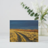Zonsondergang accentueert de rode bast van struike briefkaart (Staand voorkant)