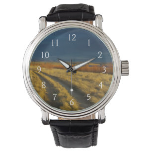 Zonsondergang accentueert de rode bast van struike horloge