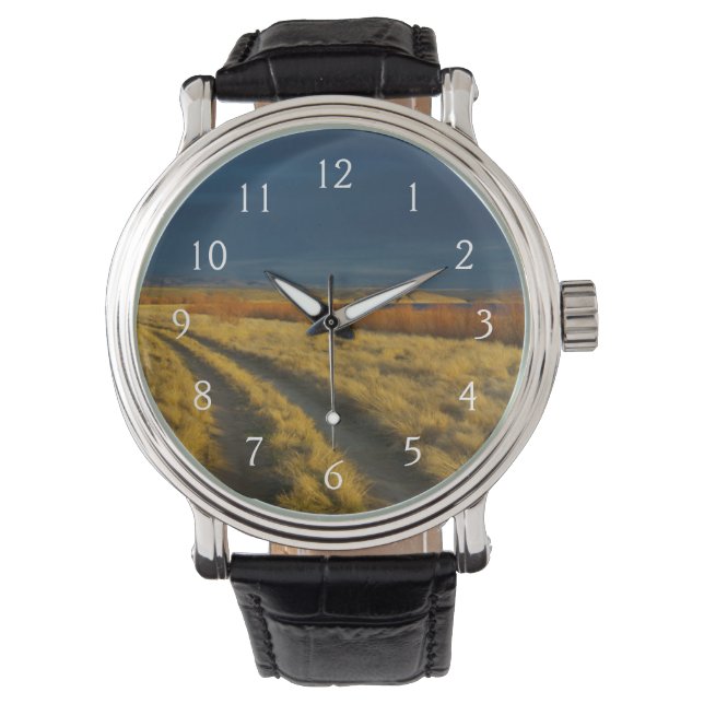 Zonsondergang accentueert de rode bast van struike horloge (Voorkant)