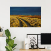 Zonsondergang accentueert de rode bast van struike poster (Thuiskantoor)