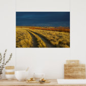 Zonsondergang accentueert de rode bast van struike poster (Keuken)