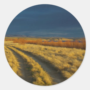 Zonsondergang accentueert de rode bast van struike ronde sticker