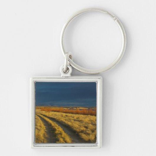 Zonsondergang accentueert de rode bast van struike sleutelhanger (Voorkant)